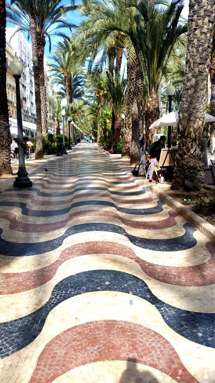Alicante Apartments 外观 照片