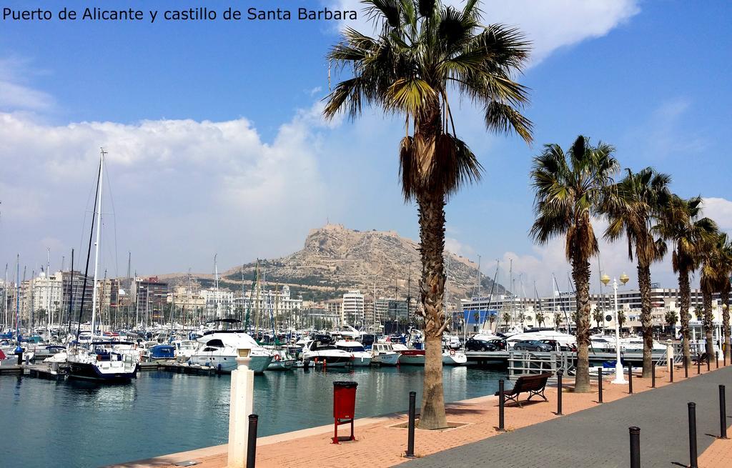 Alicante Apartments 外观 照片